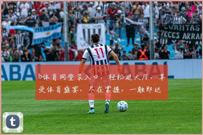 b体育网登录入口，轻松进大厅，享受体育盛宴，尽在掌握，一触即达，畅游体育世界，体验无限精彩