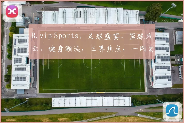 B.vip Sports，足球盛宴、篮球风云、健身潮流，三界焦点，一网打尽